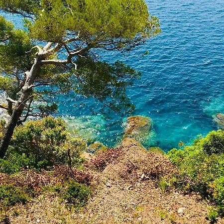 Mazet « Domaine De La Pinede »
