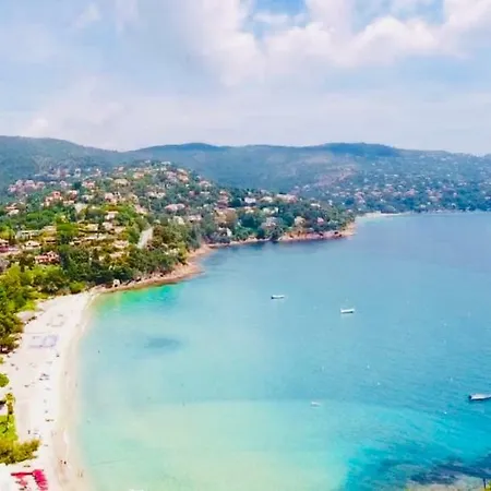 Mazet « Domaine De La Pinede » 勒拉旺杜