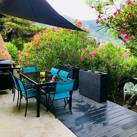 Mazet « Domaine De La Pinede »